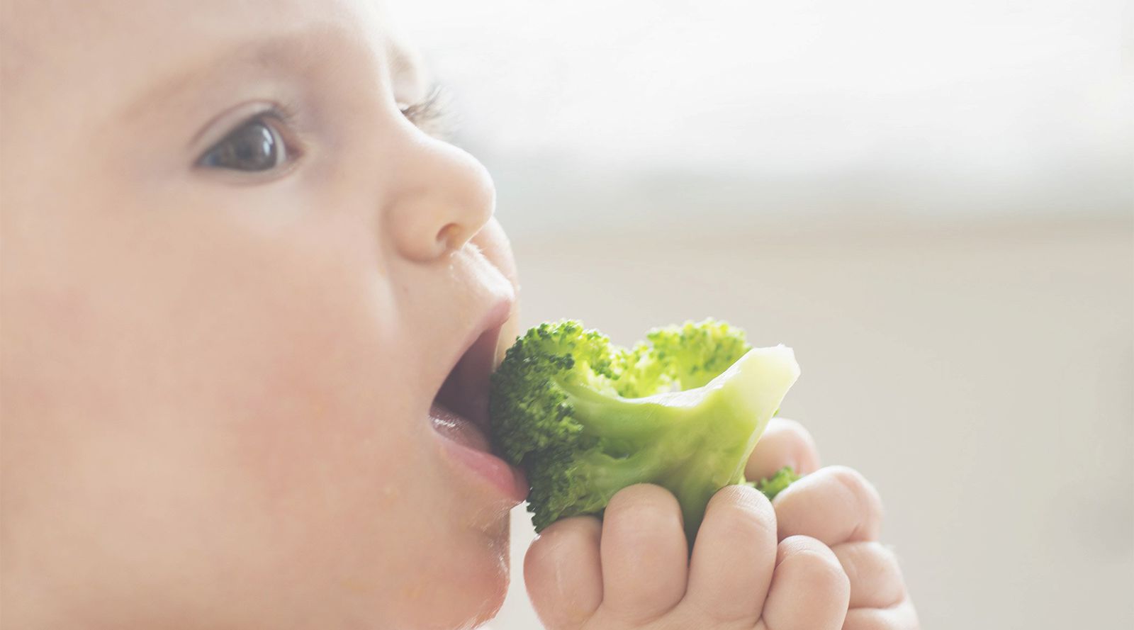 baby weaning