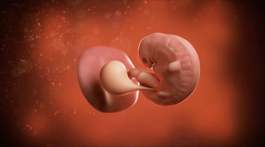 6 Weeks Pregnant Pregnancy SMA Baby