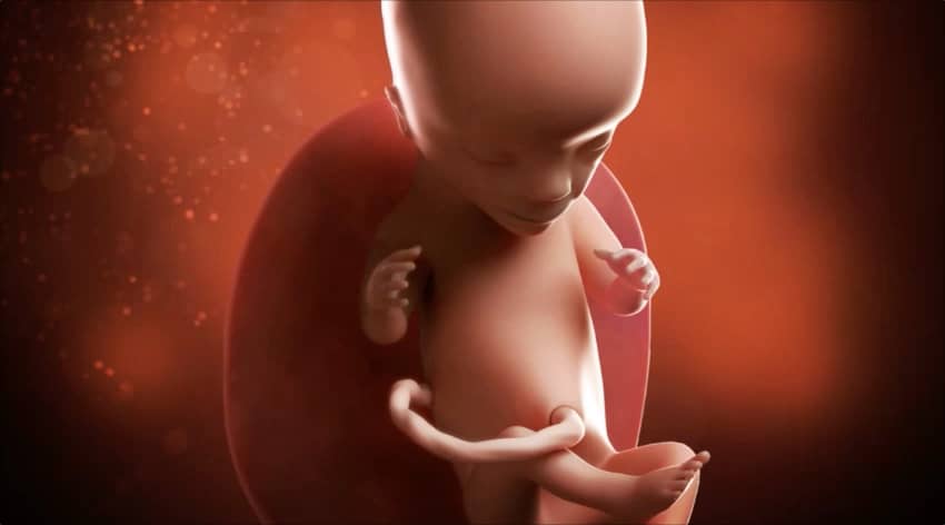 Unborn baby at 15 weeks