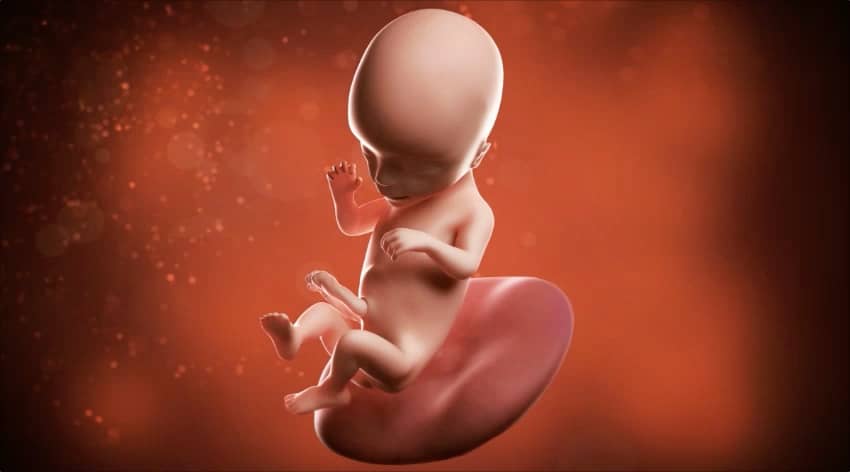 Unborn baby at 16 weeks