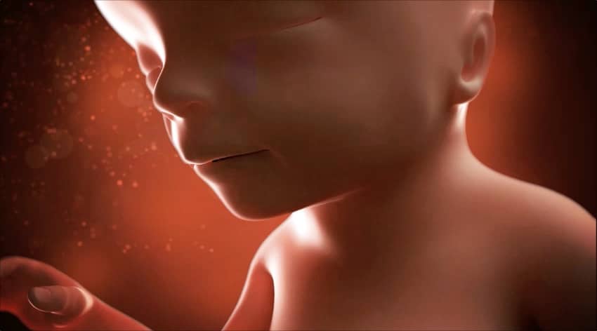 Unborn baby at 17 weeks