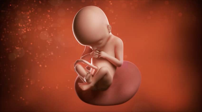 Unborn baby at 22 weeks