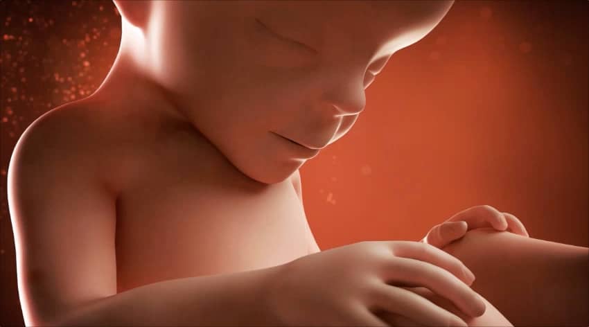 Unborn baby at 27 weeks