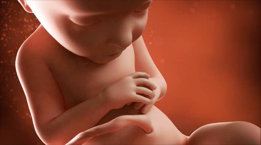 Unborn baby at 32 weeks