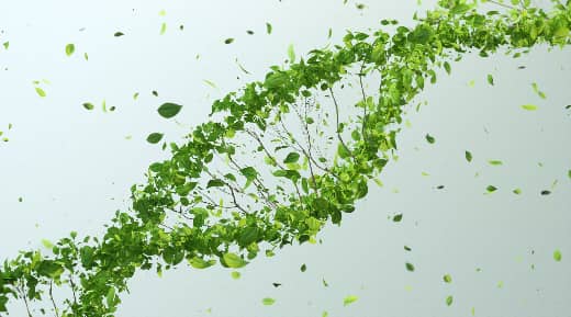 Green tree DNA Illustration