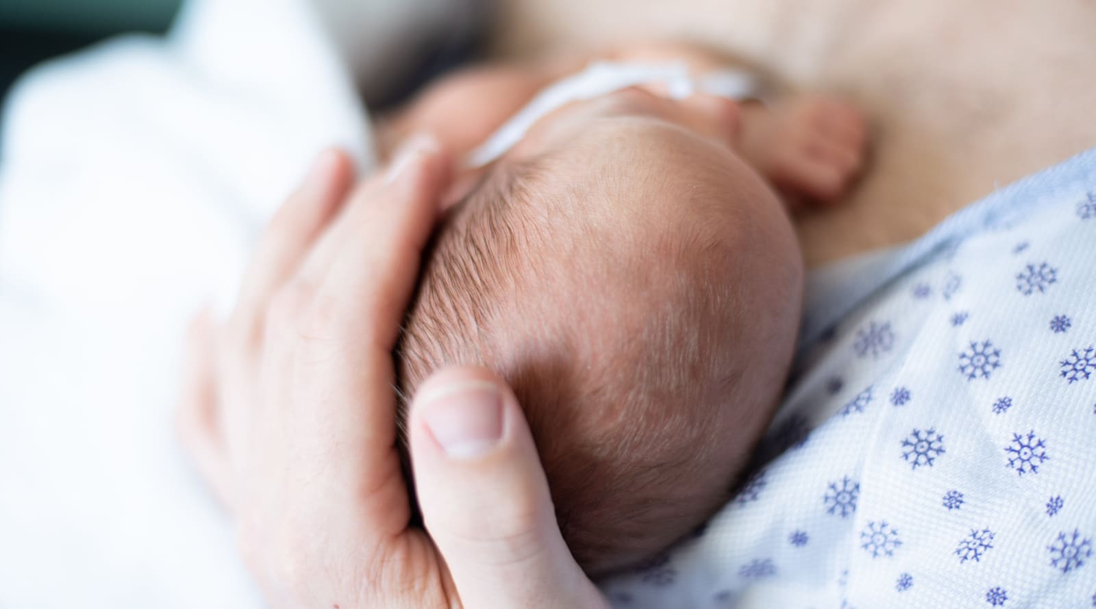 6 Reasons Your Baby Needs a Primary NICU Nurse - Hand to Hold