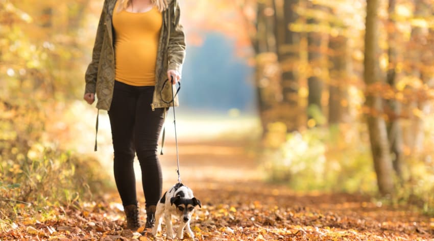 Pregnant mother walking her dog