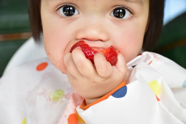 A toddler eating a strawberry