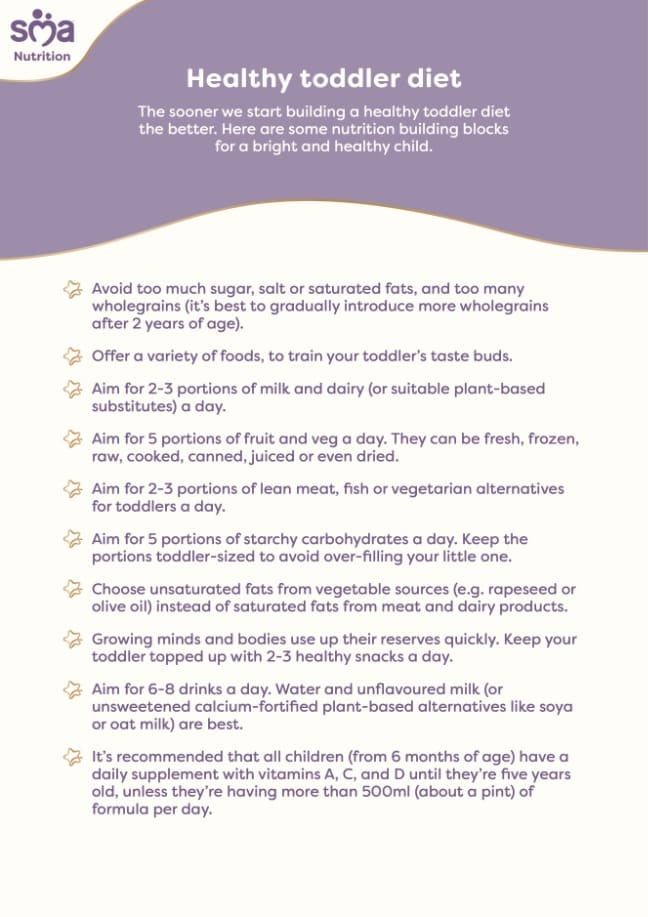 Healthy Toddler Diet: How to Give a Varied Diet- Toddler Checklist - PDF Preview