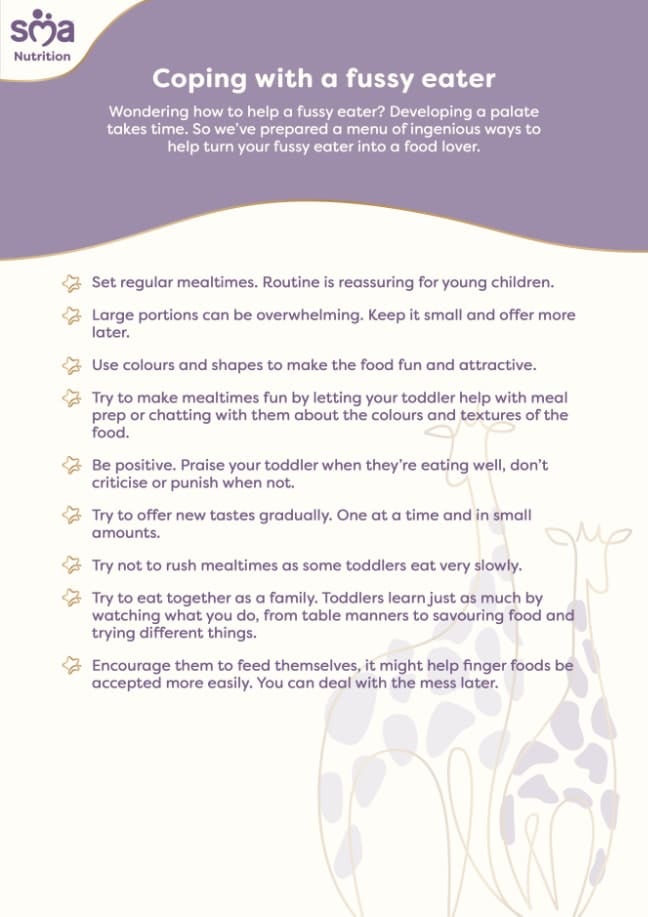How to Cope with a Fussy Eater - Toddler Checklist - PDF Preview
