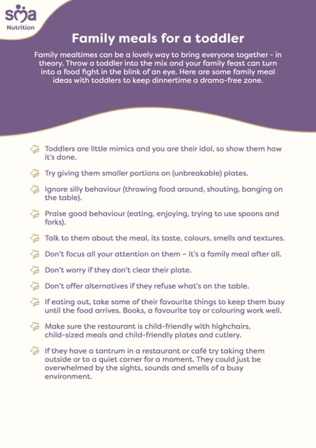 Toddler Family Meals: How to Make Dinnertime Enjoyable for Everyone - Toddler Checklist - PDF Preview