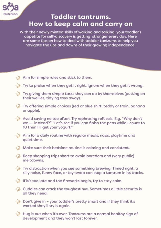 Toddler Tantrums: How to Keep Calm and Carry On - Toddler Checklist - PDF Preview