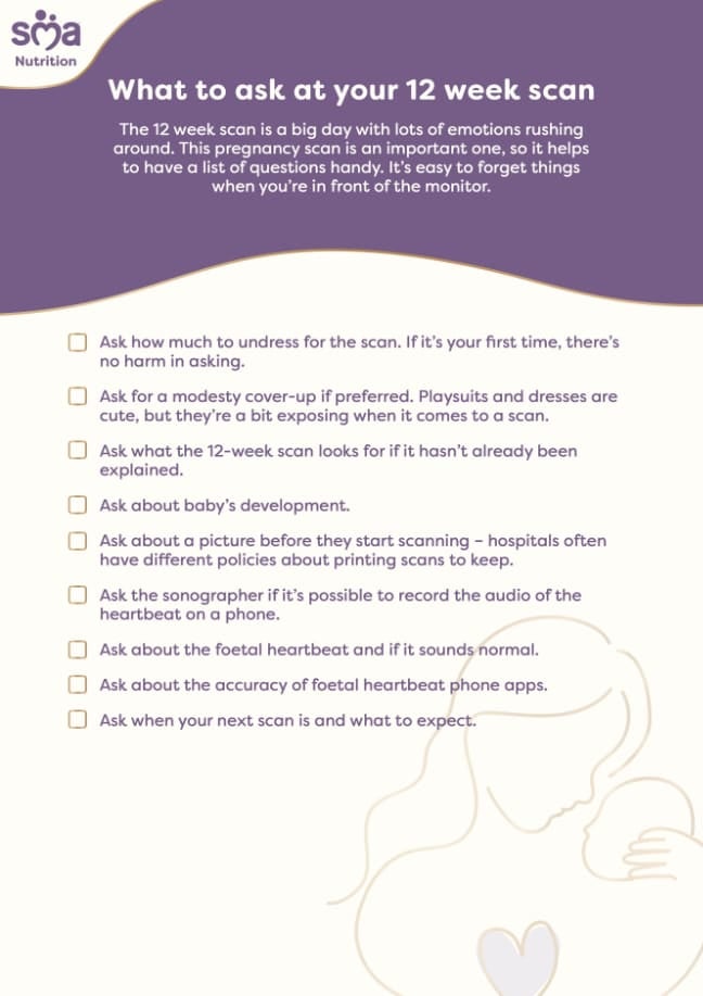 What to Ask at Your 12 Week Scan - Pregnancy Checklist - PDF Preview