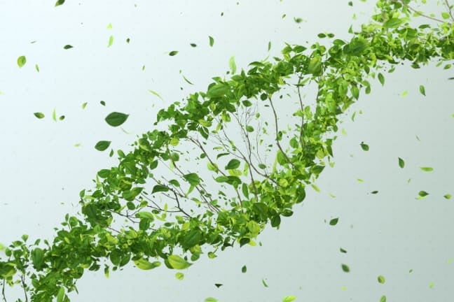Green tree DNA Illustration